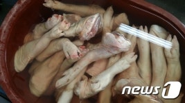 냉장족발이 수입 냉동육?…부산·경남서 180억대 유통