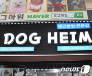 애견분양 전문숍 도그하임 오픈…철저한 사후관리 입소문