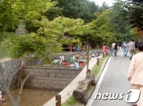 음성군, 휴가철 관광·피서지 불공정 행위 집중 지도·단속