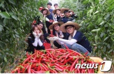 순천향대 농촌의료봉사단, 홍성군서 다양한 봉사활동으로 구슬땀