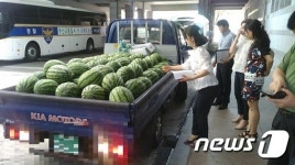 “시원한 수박 쏩니다”…권기선 부산경찰청장,직원 격려 수박 128통 전달