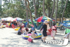 보성 율포솔밭해수욕장, 관광객 모시기 총력…영화 무료 상영 등 인기