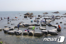 울산 동구, 주전마을에 어촌체험마을 개장