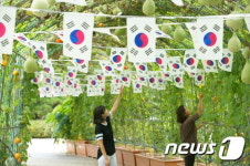 용산구, 광복 70주년 태극기 터널 만들어