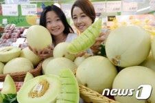 달콤한 허니듀 메론 맛보세요