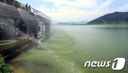 녹색의 경남권 낙동강