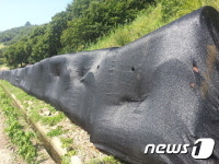 밀양 정곡리, 4대강사업  철재 시설물 또 적치 물의