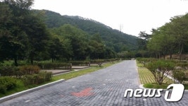 제천 용두산 산림욕장 오토캠핑장 개장 임박