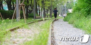 철길이 있는 숲속