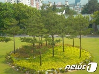 [광복70주년]남부산림자원연구소내  태극기 동산 새단장…  국내 최대 규모