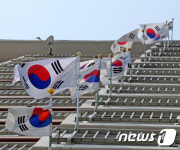 줄지어 휘날리는 태극기