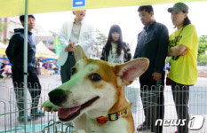 제자리 찾은 청주 반려동물보호센터…내년 6월 강내면에 건립