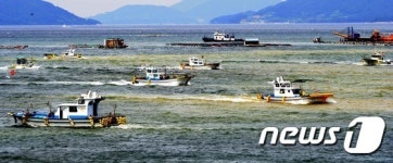 적조피해 황토로 막는다