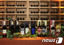 무주머루와인, 광명동굴 대한민국 와인 페스티벌참가