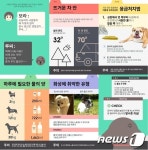 펫슬랩, 다음 스토리볼과 반려동물 콘텐츠 제휴