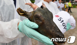 흑염소야 미안해