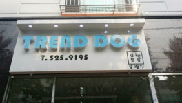 부평강아지분양 트렌드독 사랑스럽고 건강한 반려견 강아지 분양