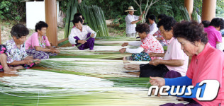 [풍경] 늦더위 날리는 왕골돗자리 제작 한창