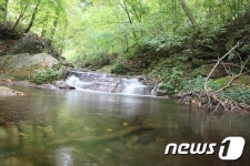 통고산자연휴양림서 산림욕, 해수욕, 온천욕 한 번에