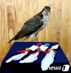 자연유산 타임캡슐에 청소년의 꿈과 희망을 담는다