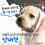 [펫카드]화제의 스타견 ‘봄이’는 누구?