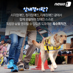 [펫카드]화제의 스타견 ‘봄이’는 누구?