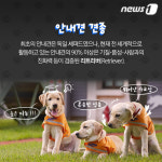 [펫카드]화제의 스타견 ‘봄이’는 누구?
