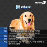 [펫카드]화제의 스타견 ‘봄이’는 누구?