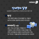 [펫카드]화제의 스타견 ‘봄이’는 누구?