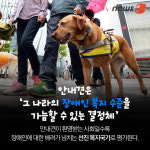 [펫카드]화제의 스타견 ‘봄이’는 누구?