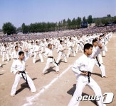 멋진 공연 펼치는 태권도 시범단