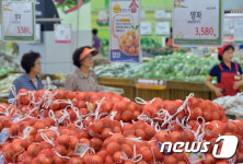 금의농장직판장 | '양파값이 금값'