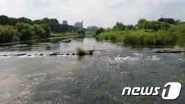 청주 대표 하천 무심천 수질 개선 1등급