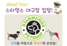 애견숍 창업 스타멍스, 대구점 입점에 이목집중