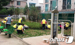 홍천 연봉5리 노인회, 환경정비 활동