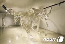 치맥 먹다가 떠오른 상상력…뼈의 작가 이형구개인전