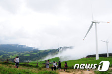 삼양목장 능선에 낀 해무