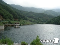 영동군 농업용저수지 담수율 도내 최고