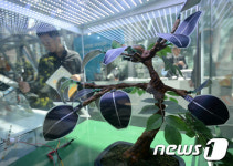 태양광 충전하는 솔라트리