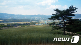 DMZ펀치볼둘레길 신규 구간 18일 개통식