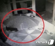 우산으로 CCTV 가리고 상가턴  일당 검거