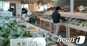 세종시 로컬푸드 직매장 1호점 19일 개장