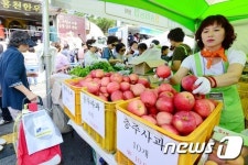구청에서 추석 제수용품 준비하세요