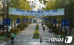 연세대 명물 백양로 2년 만에 다시 학생 품에