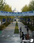 막바지 공사 한창인 연세대 명물 백양로