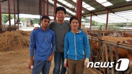 [미래형 농가를 찾아서-강원]‘대한민국 최고’ 횡성축협한우는 나의 자존심