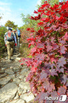 ‘반갑다 단풍아’…설악산의 붉은 유혹