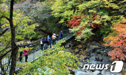 동해시, 추석연휴 기간 무릉계곡 무료개방