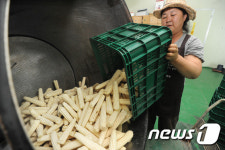 [미래형농가를 찾아서-세종·충북]생산서 유통까지 마스터한 현대 부농의 모범