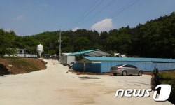 [미래형농가를 찾아서-충남]‘한돈의 미래’ 책임지는 인공수정산업 지킴이
